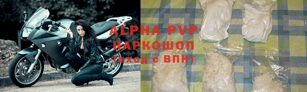 гашик Белокуриха