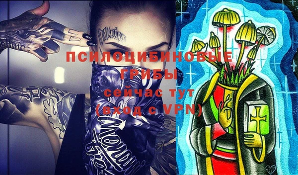 гашик Белокуриха