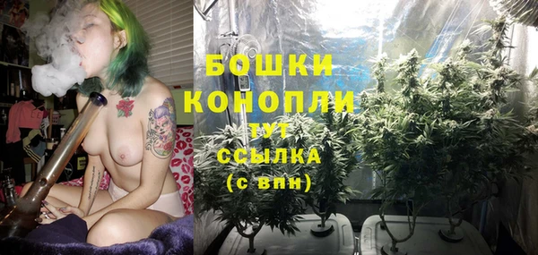 гашик Белокуриха