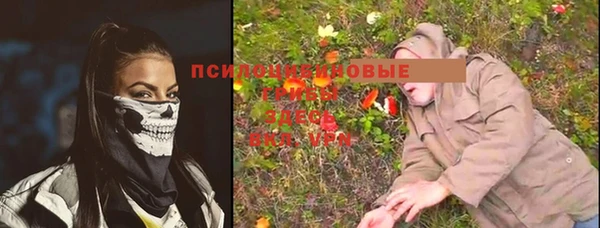 гашик Белокуриха