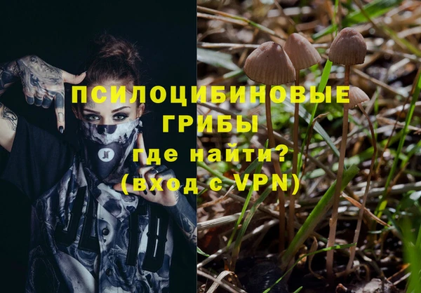 гашик Белокуриха